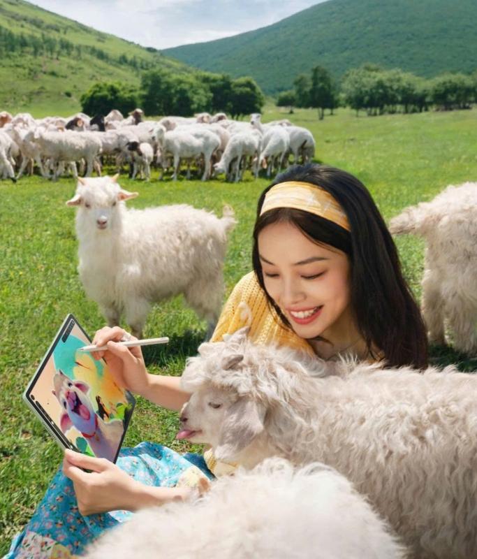 Huawei ảnh 3 Huawei anh 3