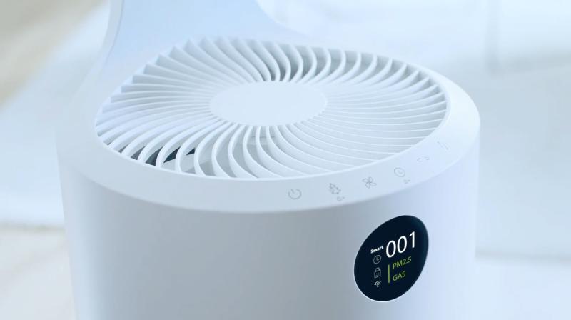 Acer anh 2