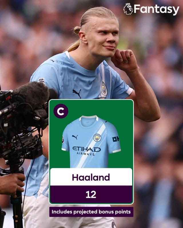 Haaland anh 4