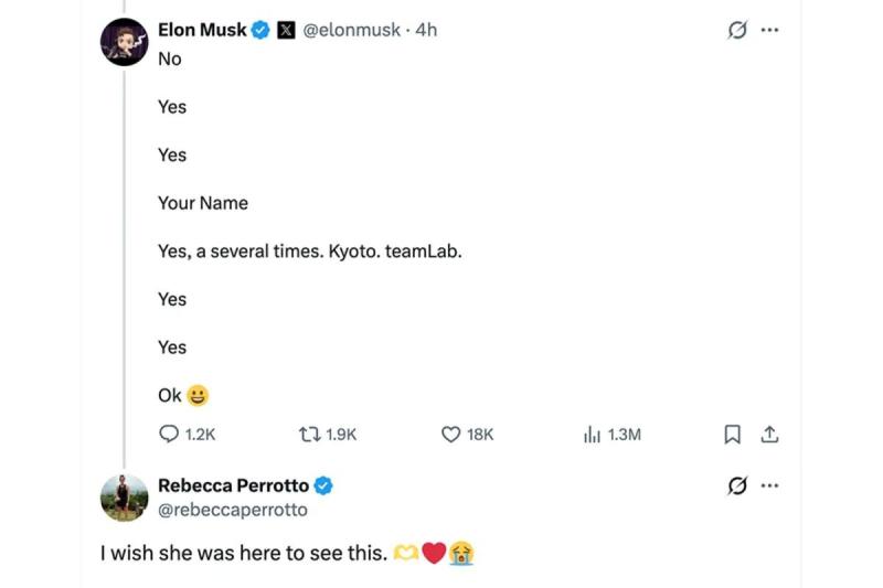Elon Musk anh 3