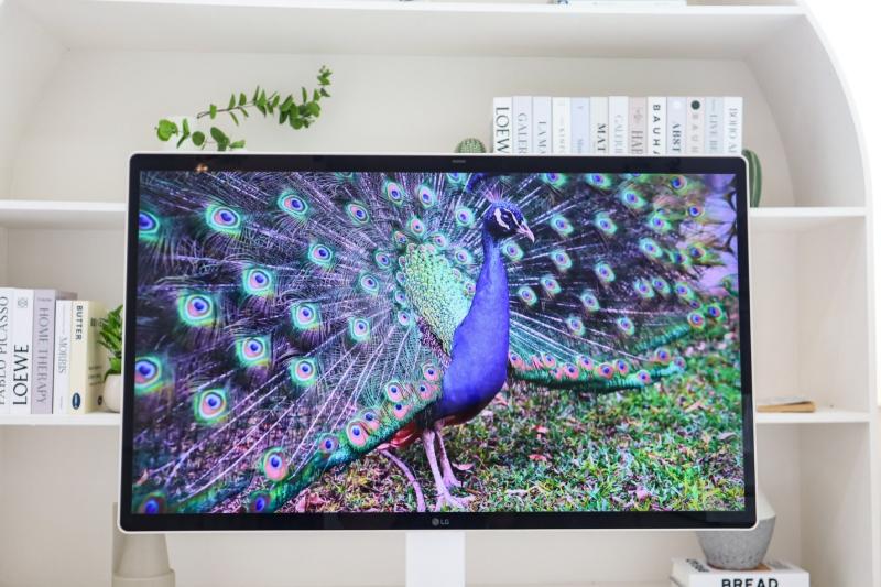 LG anh 2