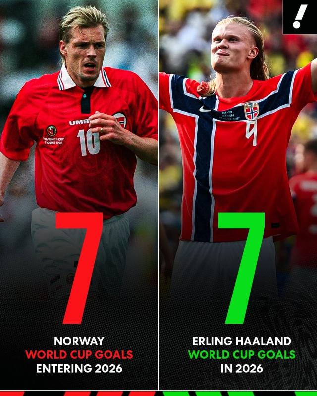 Haaland anh 6