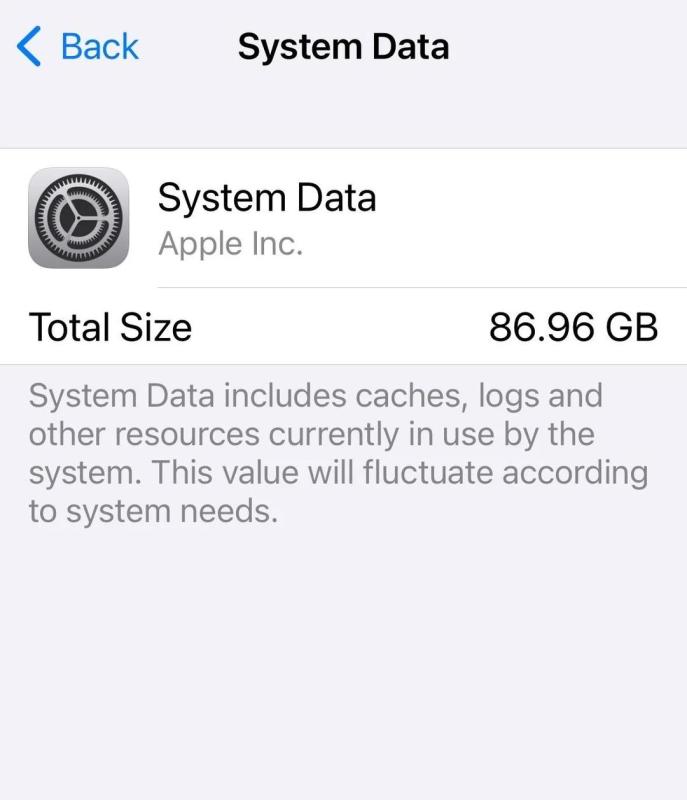 iPhone ảnh 2 iPhone anh 2
