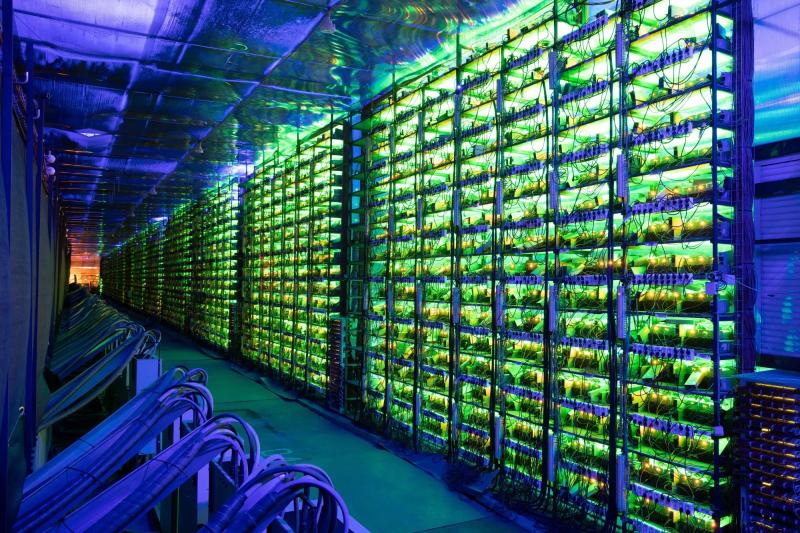 google ảnh 3 google ảnh 3